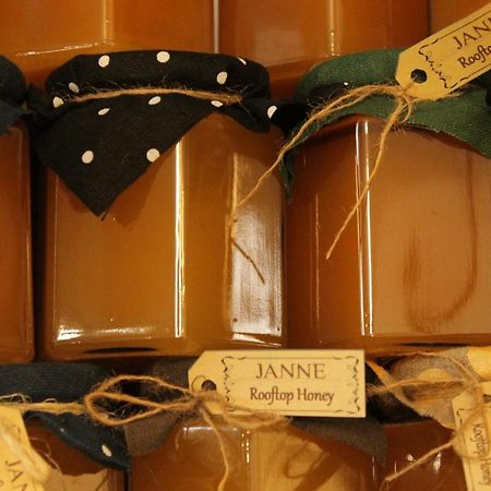 Janne Hotel ريغا المظهر الخارجي الصورة
