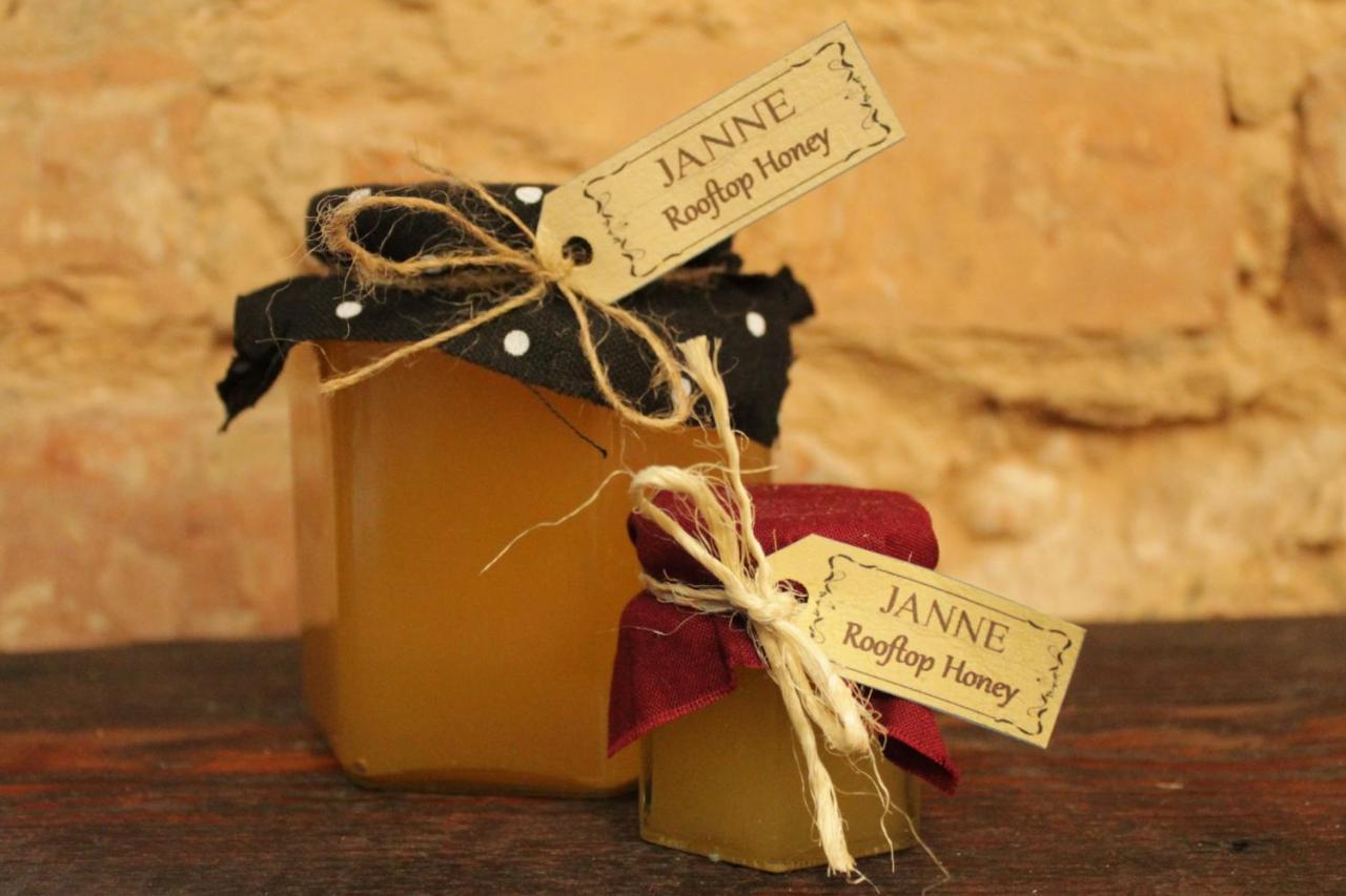 Janne Hotel ريغا المظهر الخارجي الصورة